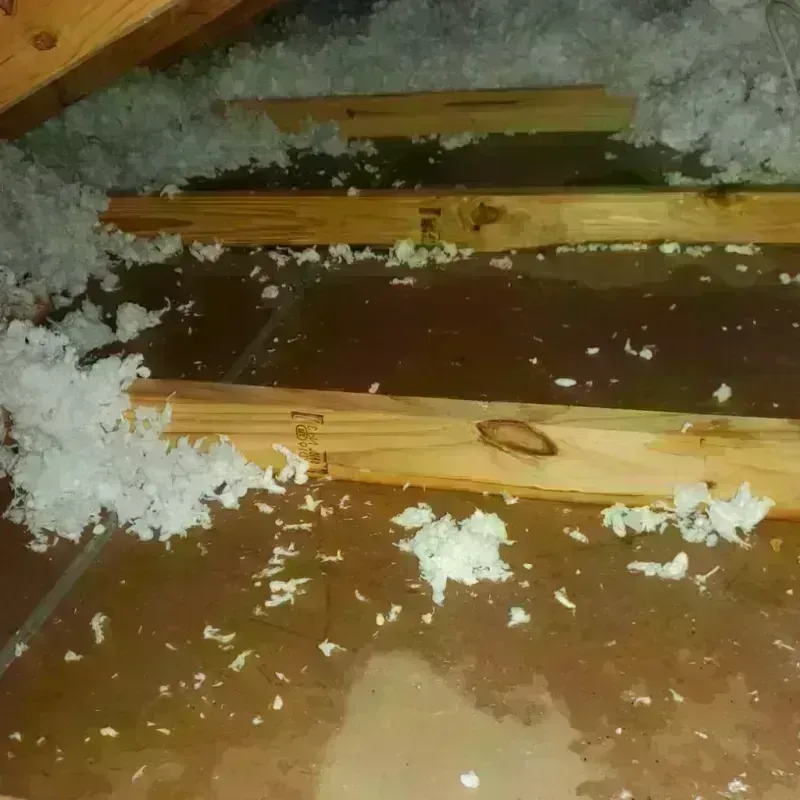 Attic Water Damage in Chicopee, MA